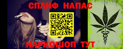 гашик Бузулук