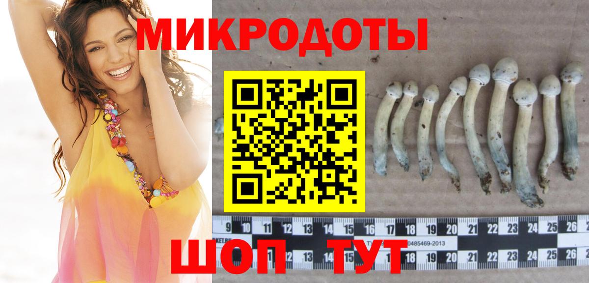 как найти закладки  Вход с VPN  Новодвинск  Псилоцибиновые грибы Psilocybe 
